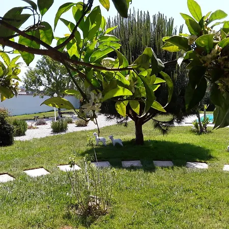 Bed and Breakfast Quinta Camargue