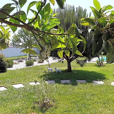 Quinta Camargue 3* Cela Velha