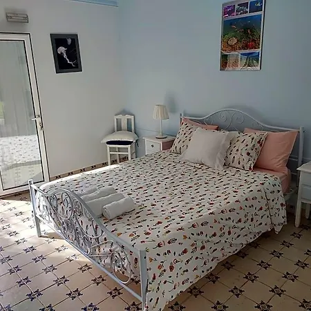 Quinta Camargue Cela Velha