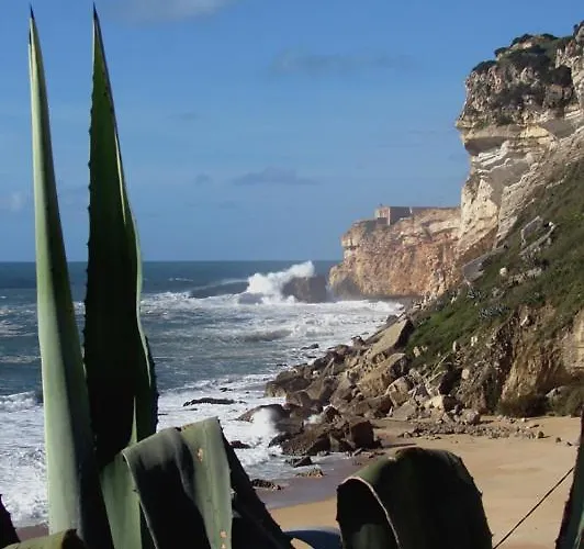 Quinta Camargue Отель типа 